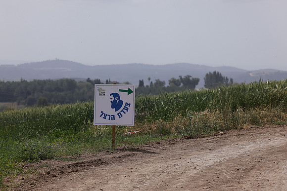 runi_Gilad_ 250404_444