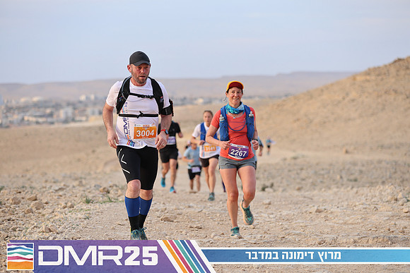 TF_DMR25-0379
