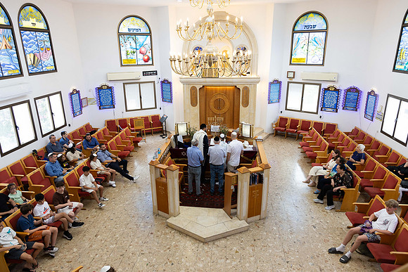 TF_Omri_Shahar-bm-160724-0134