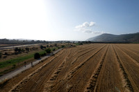 DJI_0167