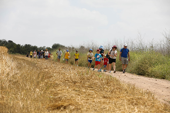 TF_Gezer_hm-24-0952