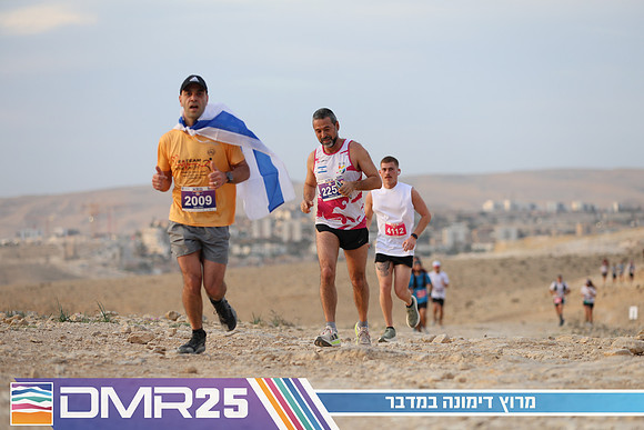 TF_DMR25-0324