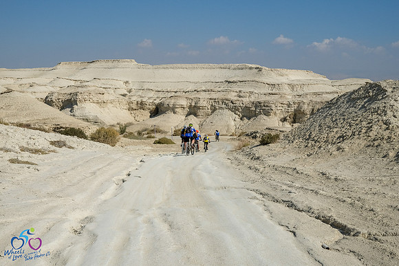 DZ_WOL24-0078