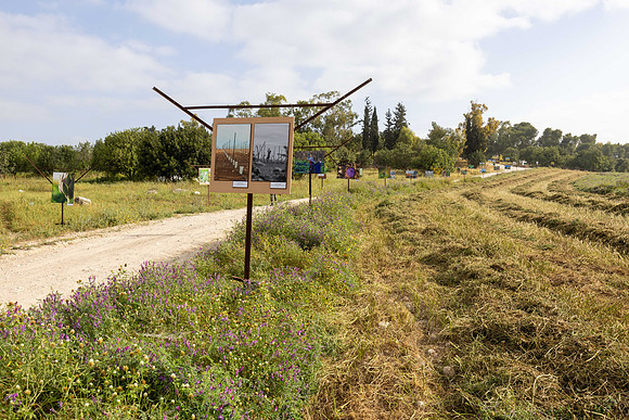 TF_Gezer_hm-24-0098