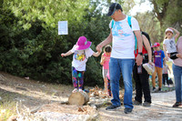 TF_Gezer_hm-24-0310