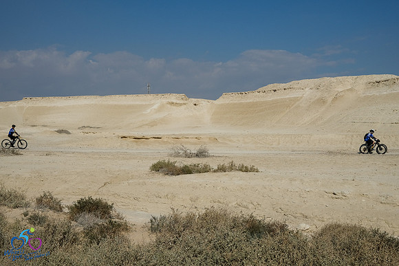 DZ_WOL24-0072