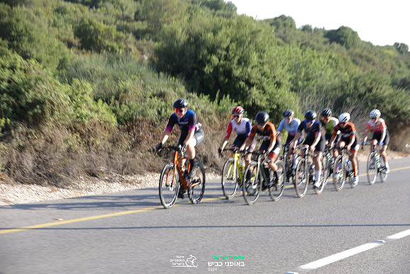 TFeder_ILC-Road24-0444