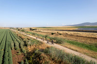 DJI_0165