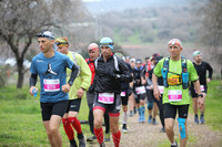 TF_DNF22-1197
