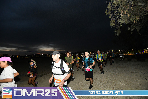 EY_DMR25-0113