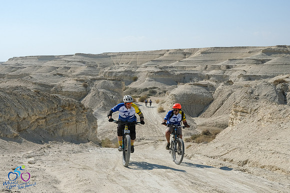 DZ_WOL24-0084