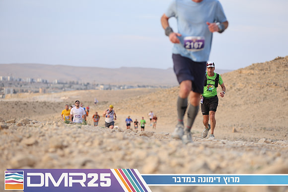 TF_DMR25-0442