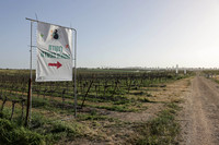 runi_Gilad_ 250404_4