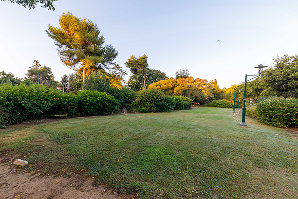 TF_Gedera_Park-2022-01