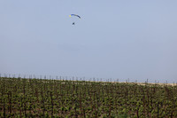 runi_Gilad_ 250404_14