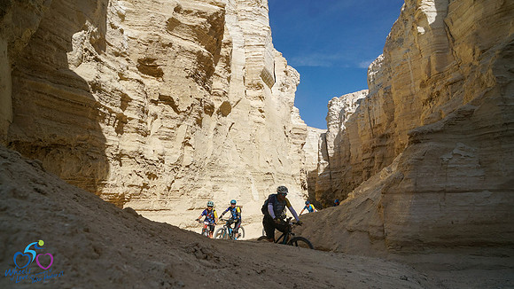HL-d3_WOL24-66