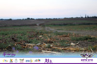 OE-Talfash_Run_25-0009