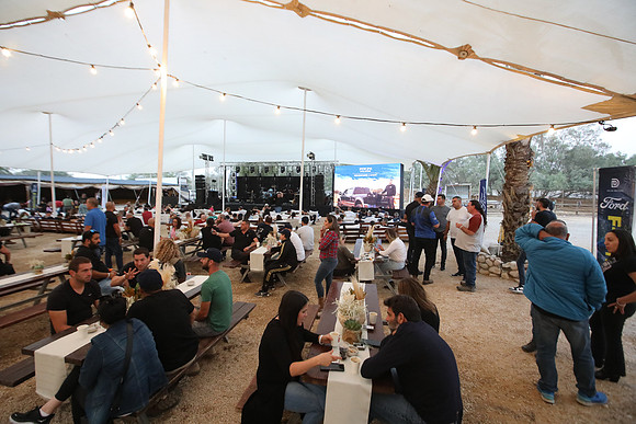 TF_F-estival-22-0722
