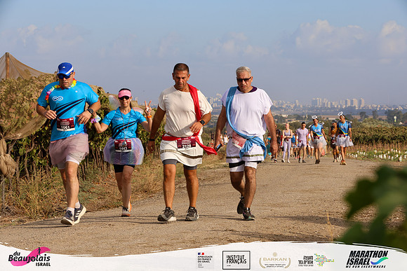 TF-bjr-25-0956