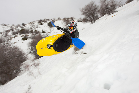 ©www.tomerfeder.com