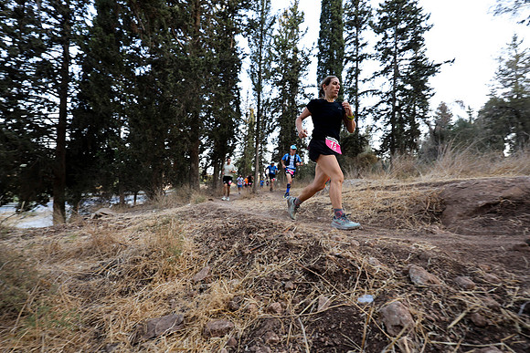 TFeder-BYU-2609-3923