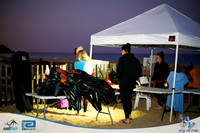 Tomer_swn-201019-0048