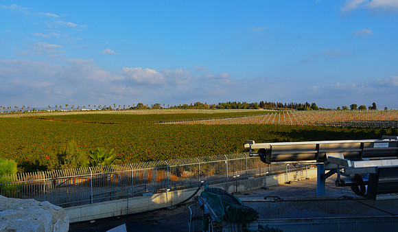 DSC_2688