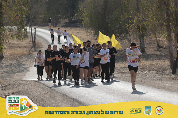 RT-SNR25-2311