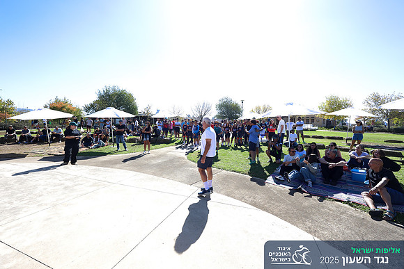 TFeder_ILC-ITT24-0801