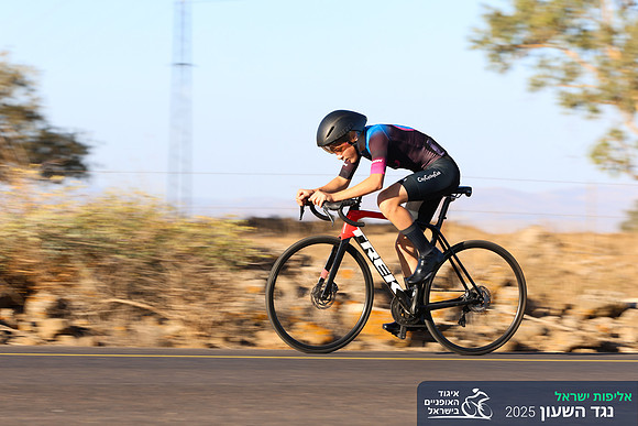 TFeder_ILC-ITT24-0193