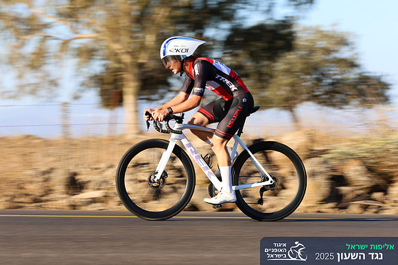 TFeder_ILC-ITT24-0198
