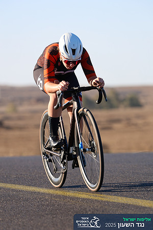 TFeder_ILC-ITT24-0233