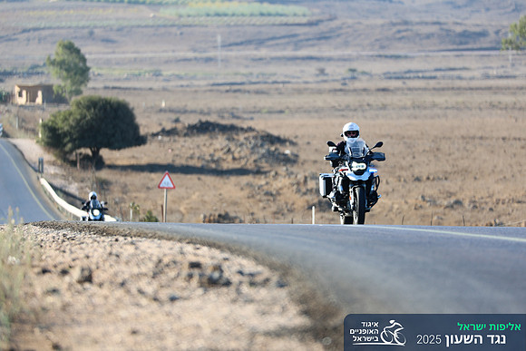 TFeder_ILC-ITT24-0237
