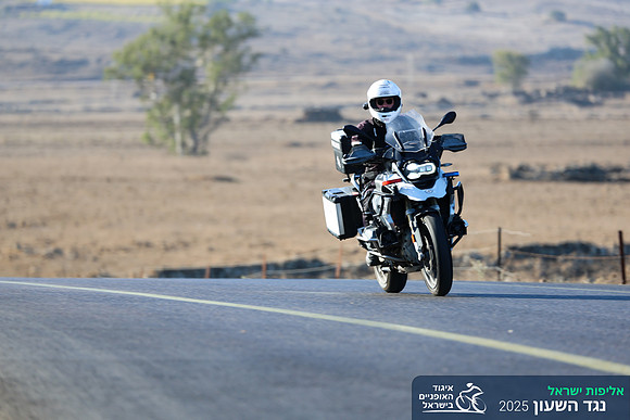 TFeder_ILC-ITT24-0239