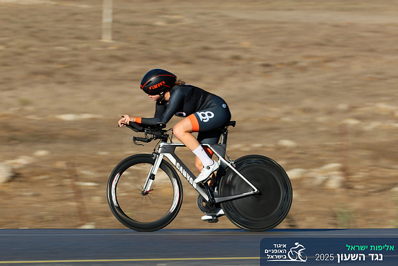TFeder_ILC-ITT24-0273