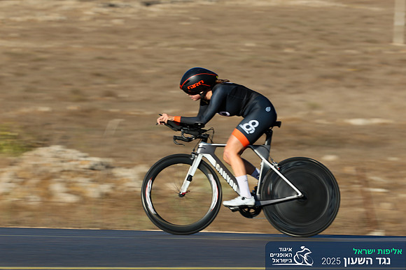 TFeder_ILC-ITT24-0274