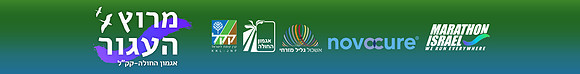 סטריפ עליון לתיקיה