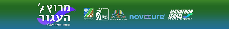 סטריפ עליון לתיקיה