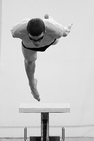 ©www.tomerfeder.com