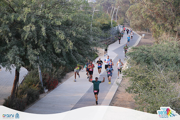 TF_nhmr25-0290