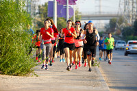 TF_dr-nbt_091118-0310