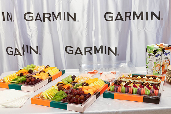 TFeder-Garmin-STN25-0021