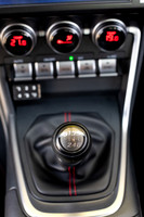 TFeder_s_brz-122