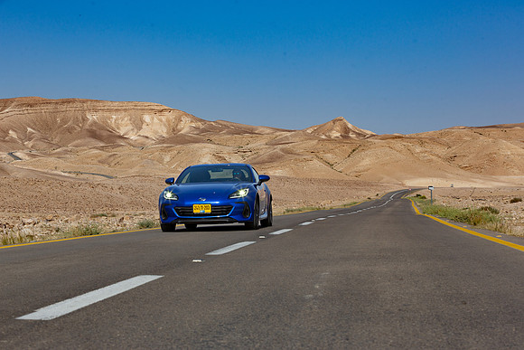 TFeder_s_brz-256