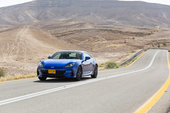 TFeder_s_brz-307