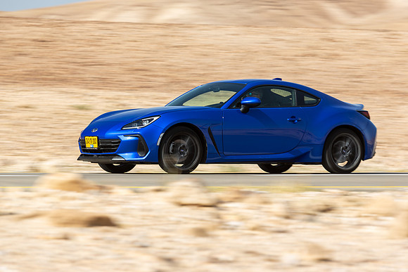 TFeder_s_brz-194