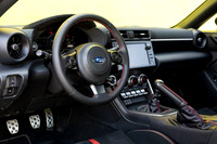 TFeder_s_brz-129