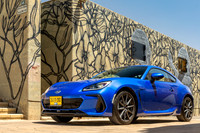 TFeder_s_brz-061-HDR
