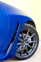 TFeder_s_brz-173