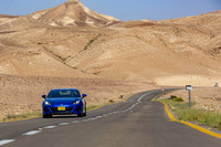 TFeder_s_brz-248